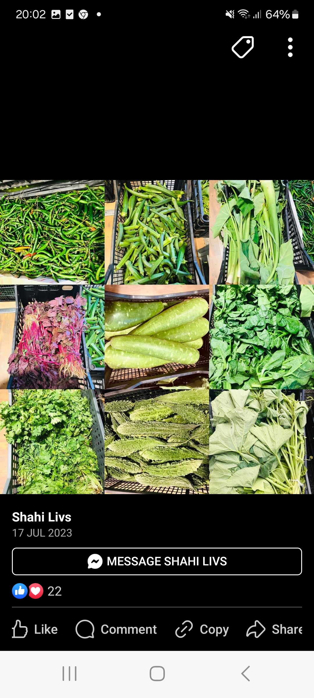 বাংলাদেশী গ্রোসারি SHAHI LIVS, Göteborg